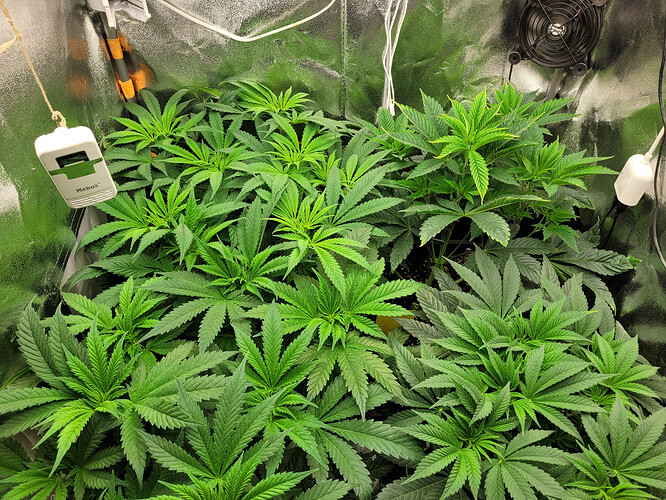 Growreport Bild 18