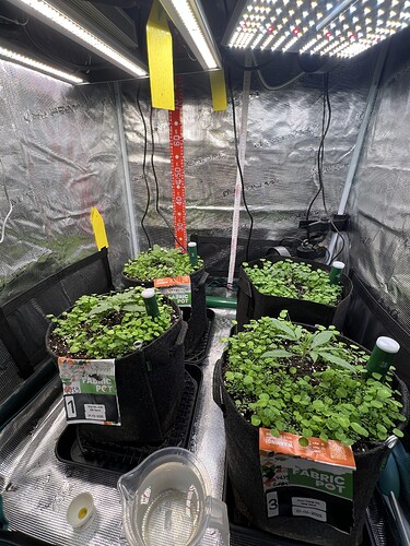 Growreport Bild 8
