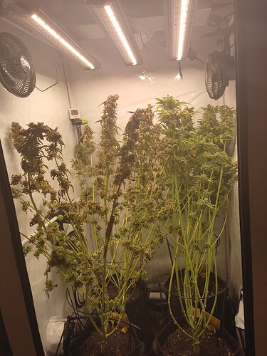 Growreport Bild 9