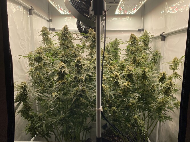 Growreport Bild 11