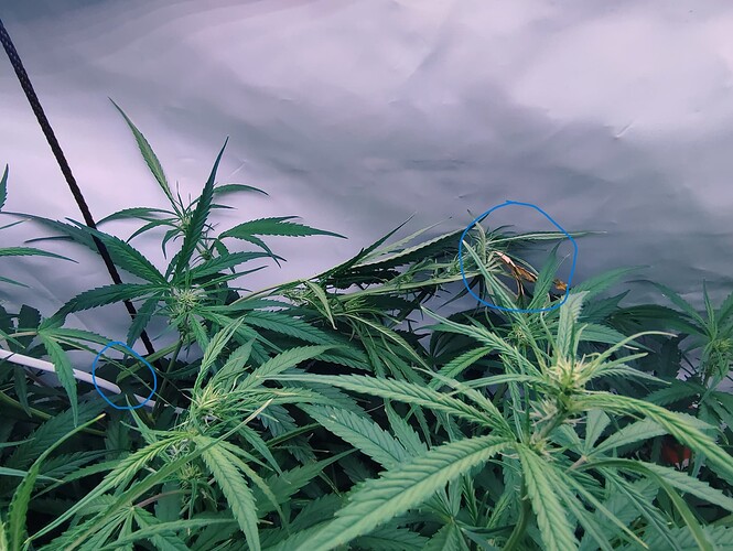 Growreport Bild 16