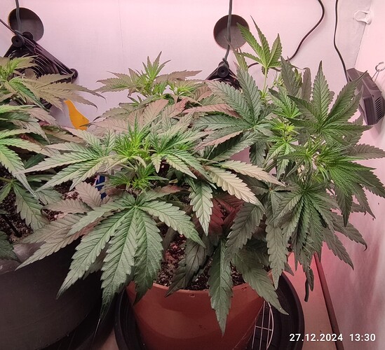 Growreport Bild 12