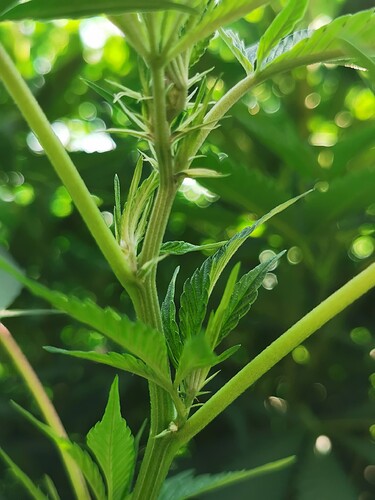 Growreport Bild 5