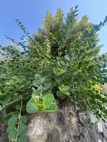 Growreport Bild 59