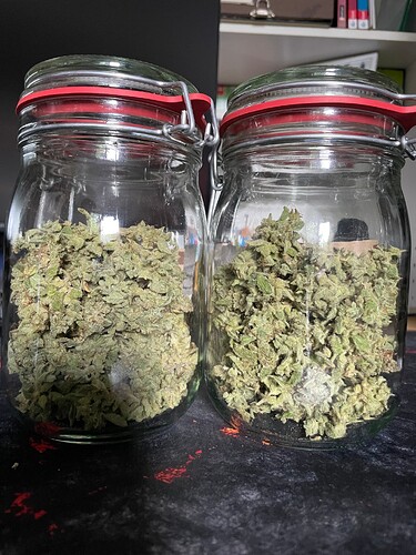 Growreport Bild 14