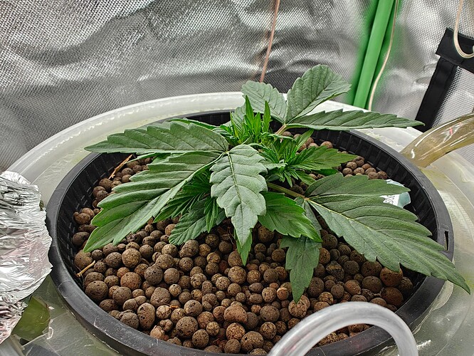 Growreport Bild 8