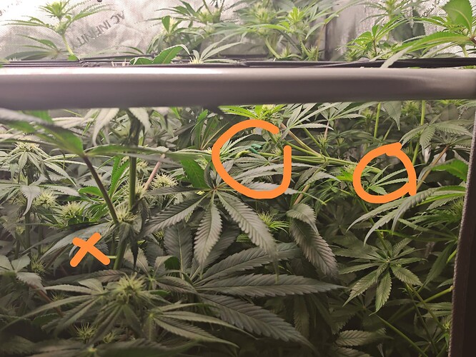 Growreport Bild 8