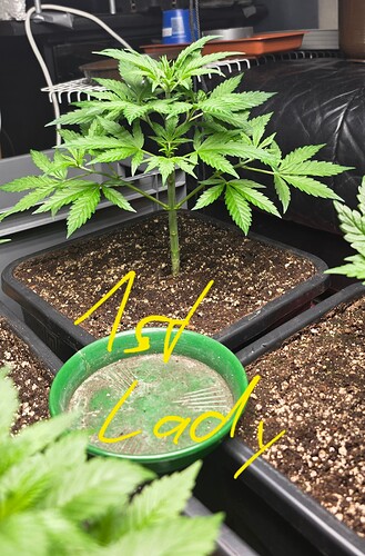 Growreport Bild 5