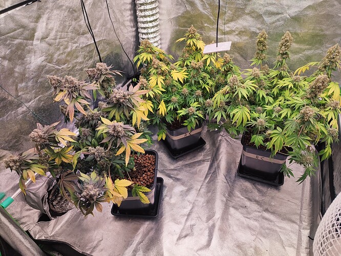 Growreport Bild 12