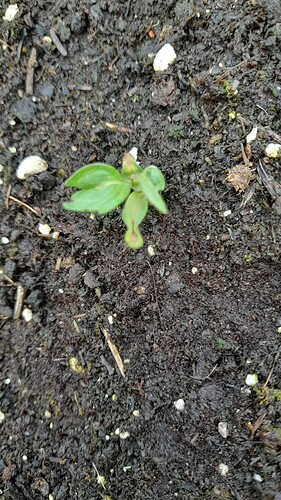Growreport Bild 14