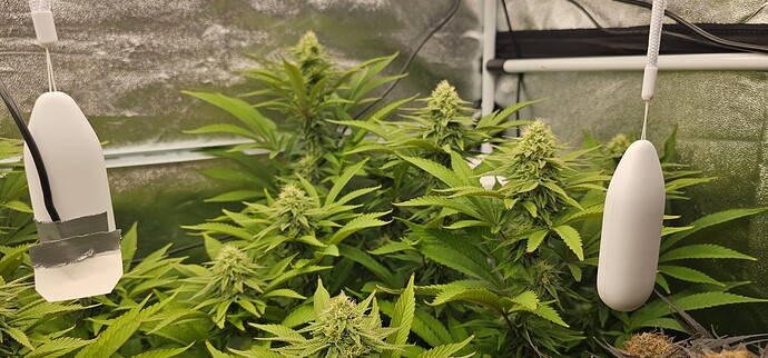 Growreport Bild 35