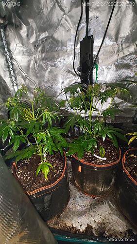 Growreport Bild 3
