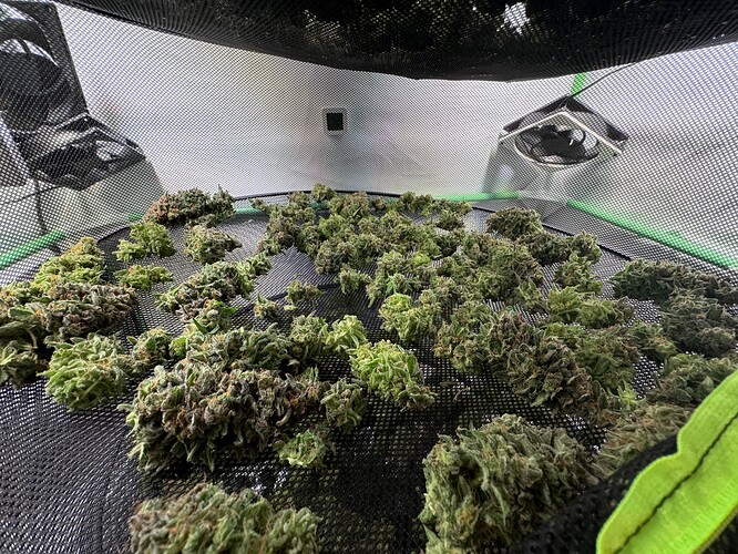 Growreport Bild 12