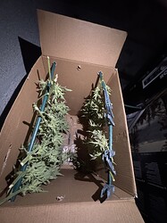 Growreport Bild 18