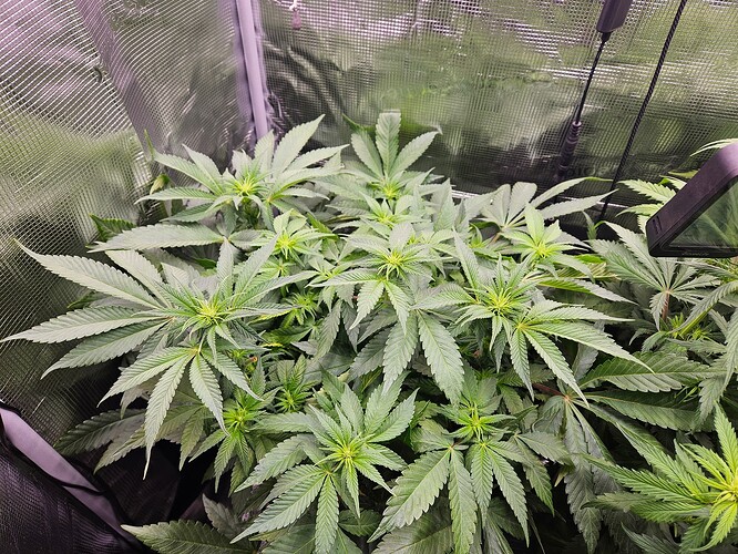 Growreport Bild 3