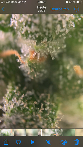 Growreport Bild 14