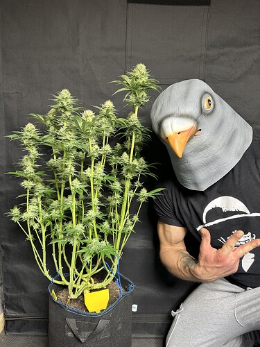 Growreport Bild 8