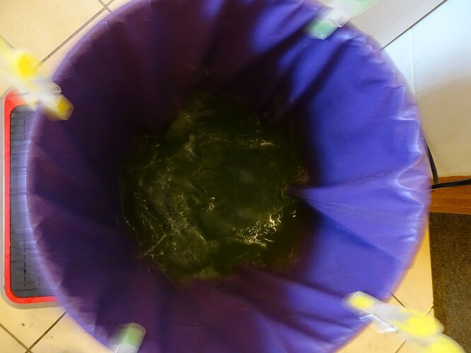 Growreport Bild 26