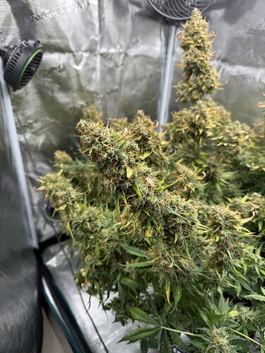 Growreport Bild 4