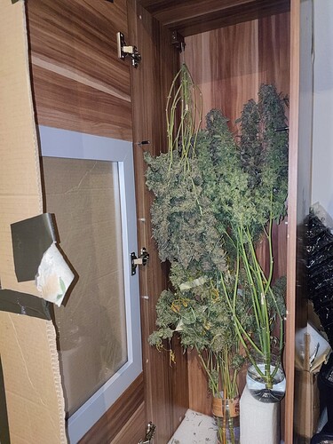 Growreport Bild 2