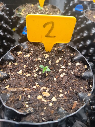 Growreport Bild 24