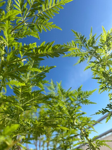 Growreport Bild 18