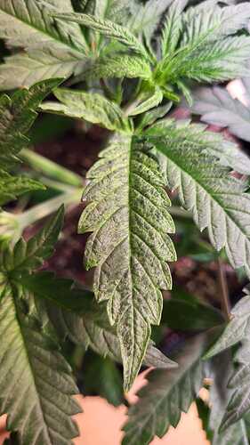 Growreport Bild 22