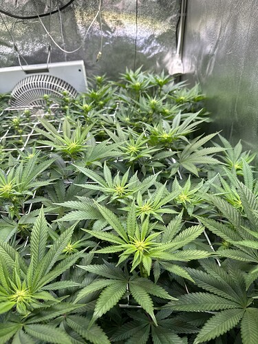 Growreport Bild 13
