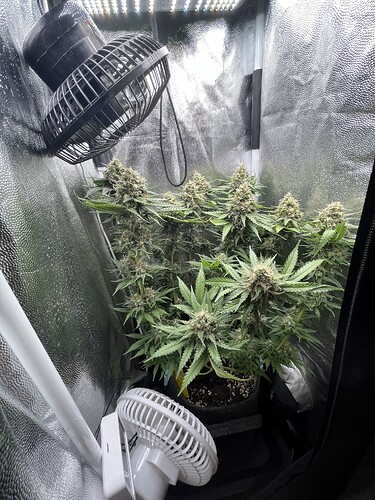 Growreport Bild 14