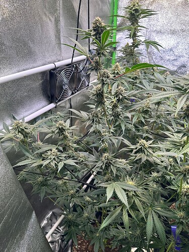 Growreport Bild 15