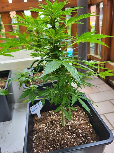 Growreport Bild 4