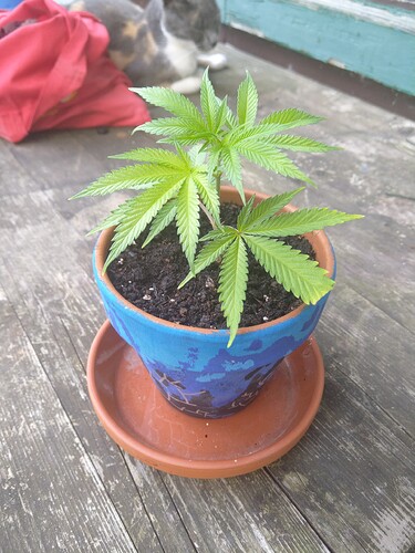 Growreport Bild 11