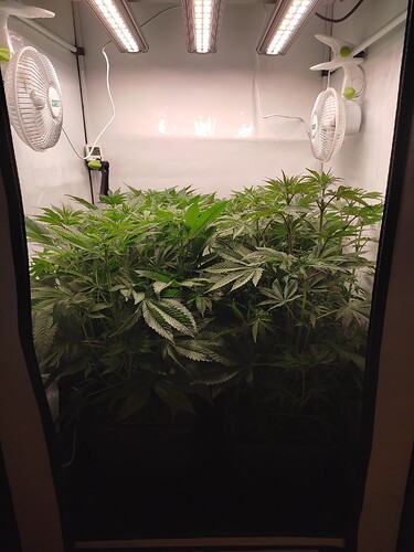 Growreport Bild 14
