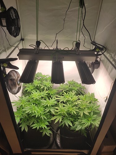 Growreport Bild 2