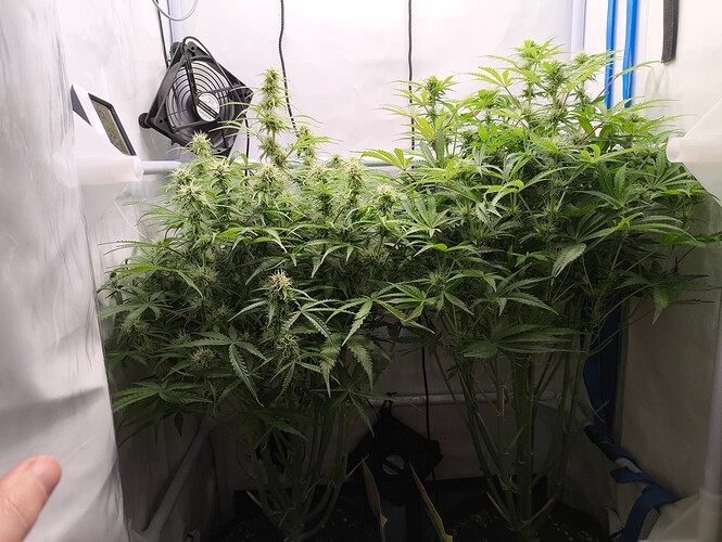 Growreport Bild 12