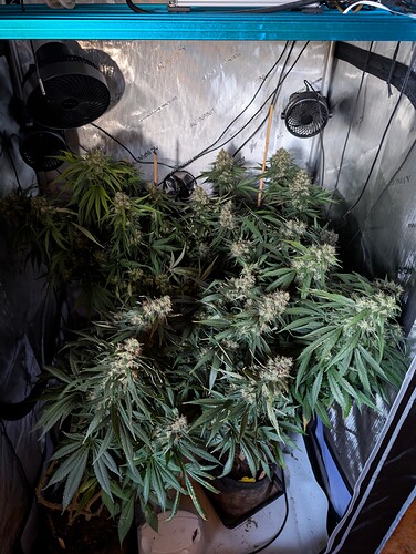 Growreport Bild 2