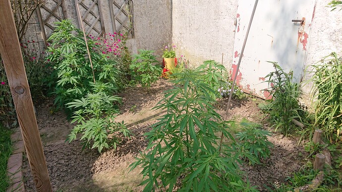 Growreport Bild 13