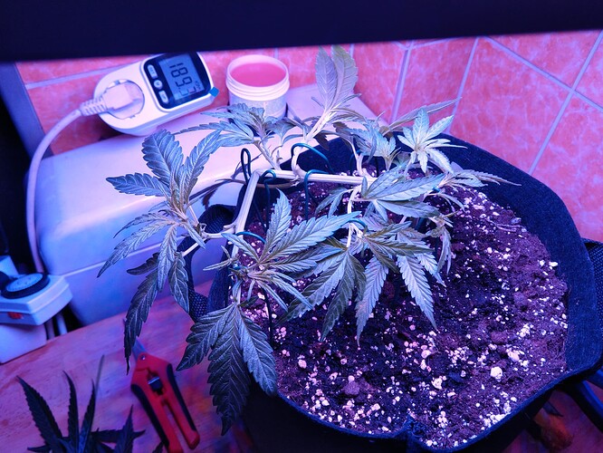 Growreport Bild 11