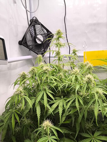 Growreport Bild 2