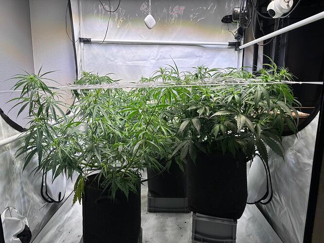 Growreport Bild 7