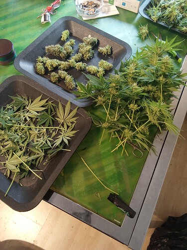 Growreport Bild 15