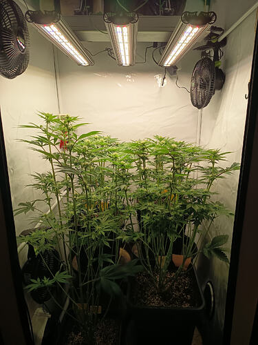 Growreport Bild 3