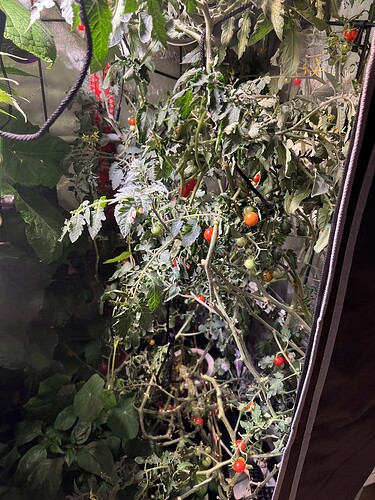 Growreport Bild 26