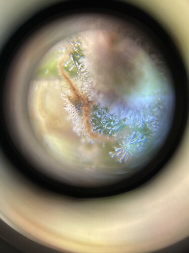 Growreport Bild 14