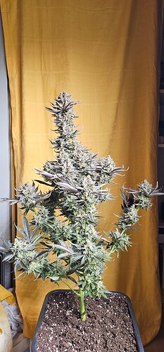 Growreport Bild 13