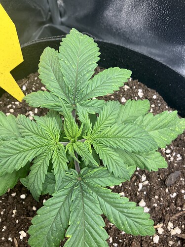 Growreport Bild 9
