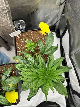Growreport Bild 6
