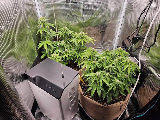 Growreport Bild 70