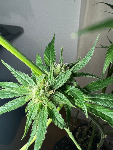 Growreport Bild 10