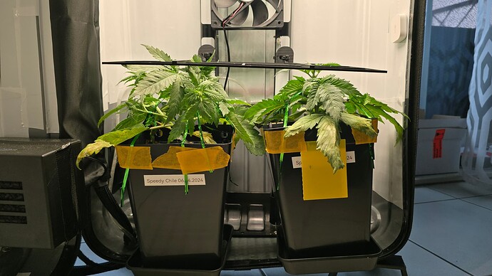 Growreport Bild 7
